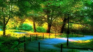 Download best scenery background images HD