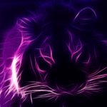 Top black and purple desktop wallpaper HD Download