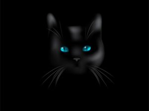 Top black cat 3d wallpaper HD Download