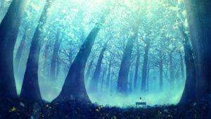 Top blue forest background HD Download