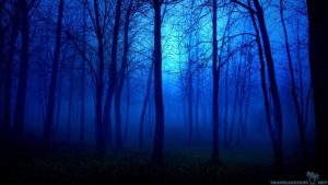 Download blue forest background HD