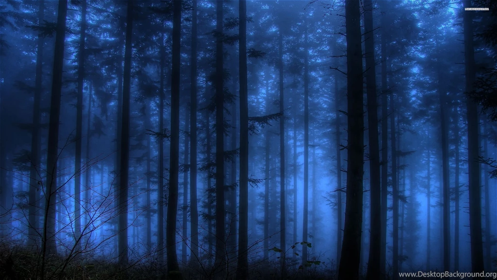 Top blue forest background Download