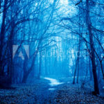 Top blue forest background HQ Download