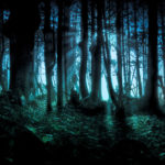 Download blue forest background HD