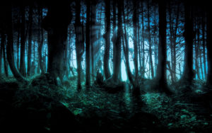 Download blue forest background HD