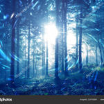 Top blue forest background Download