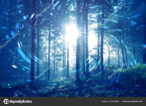 Top blue forest background Download