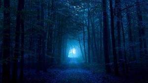 Download blue forest background HD