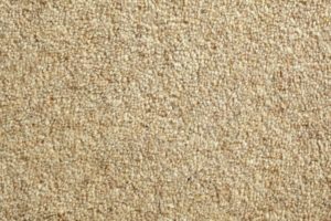 Top carpet wallpaper free Download