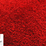Top carpet wallpaper HD Download