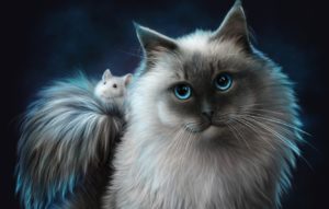 Download cat and mouse wallpaper HD