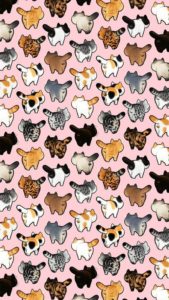 Download cat pattern iphone wallpaper HD