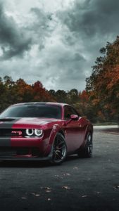 Top challenger background free Download