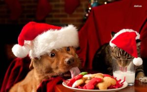 Top christmas animal wallpaper HD Download