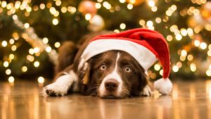 Top christmas animal wallpaper Download