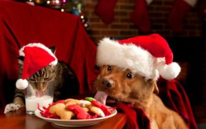 Download christmas animal wallpaper HD