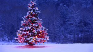 Top christmas images for computer background HD Download