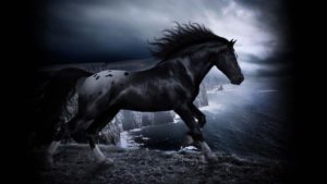 Top cool horse wallpapers 4k Download