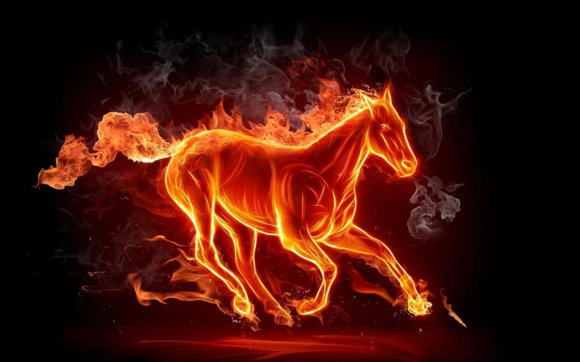 Download cool horse wallpapers HD