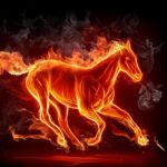 Download cool horse wallpapers HD