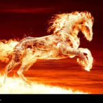 Top cool horse wallpapers Download