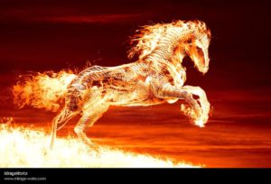 Top cool horse wallpapers Download