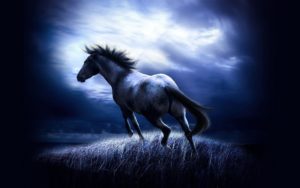 Download cool horse wallpapers HD