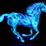 Top cool horse wallpapers free Download