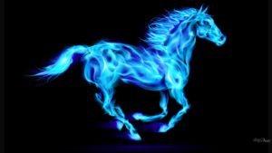 Top cool horse wallpapers free Download