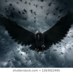 Top crow desktop wallpaper HD Download
