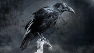 Download crow desktop wallpaper HD