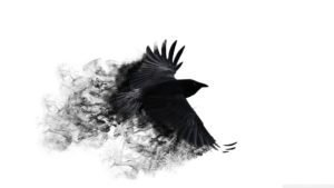 Top crow desktop wallpaper free Download