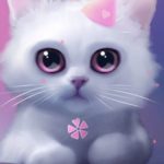 Top cute cat wallpaper 4k Download