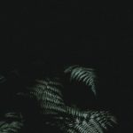 Download dark theme wallpaper iphone HD
