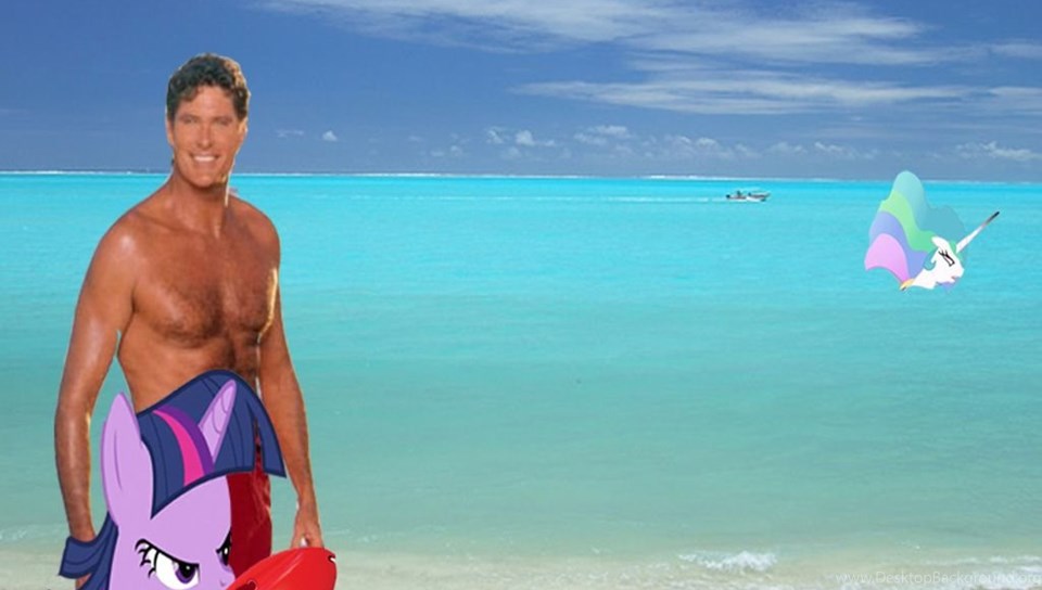 Collection Top 30 David Hasselhoff Background Hd Download