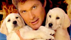 Download david hasselhoff wallpaper HD