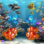 Top desktop backgrounds moving fish 4k Download