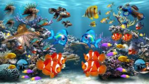 Top desktop backgrounds moving fish 4k Download