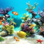 Top desktop backgrounds moving fish HD Download