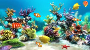 Top desktop backgrounds moving fish HD Download