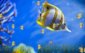 Top desktop backgrounds moving fish free Download