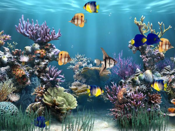 Download desktop backgrounds moving fish HD