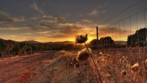 Top dirt road background Download