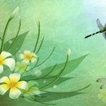 Download dragonfly backgrounds for desktop HD