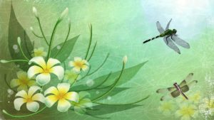 Download dragonfly backgrounds for desktop HD