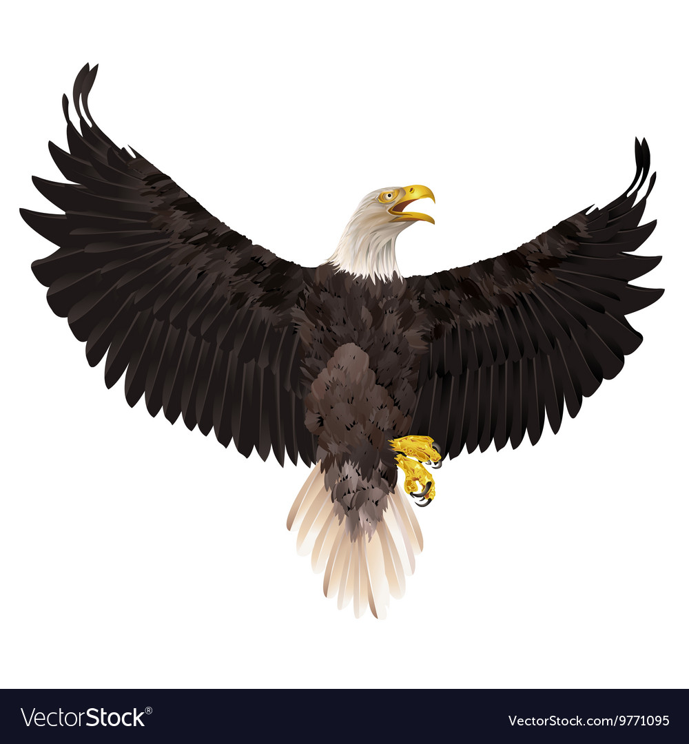 Download eagle background HD