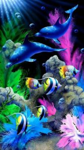 Top fish wale wallpaper free Download