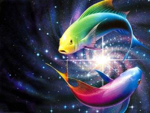 Top fish wallpaper desktop free download HD Download