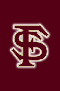 Download florida state phone wallpaper HD