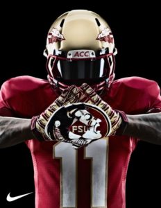 Download florida state phone wallpaper HD